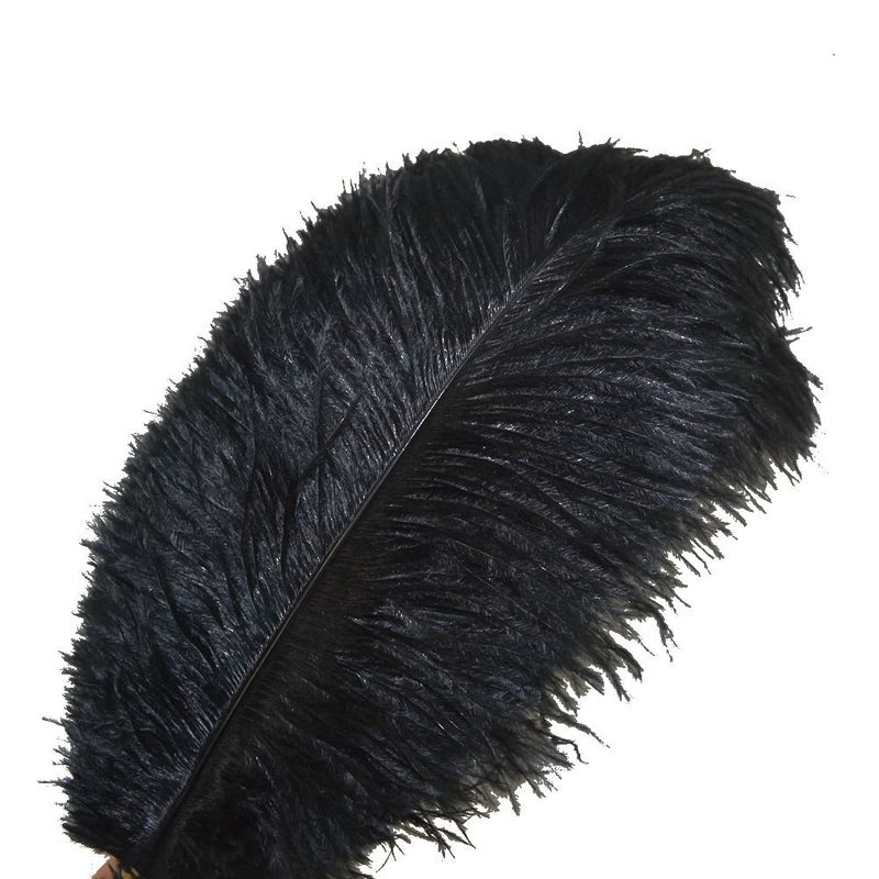Sowder 10pcs Ostrich Feathers 12-14inch(30-35cm) for Home Wedding Decoration(Black) - Image 1